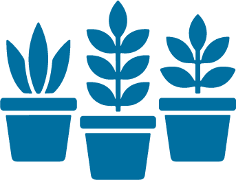 Seedling icon