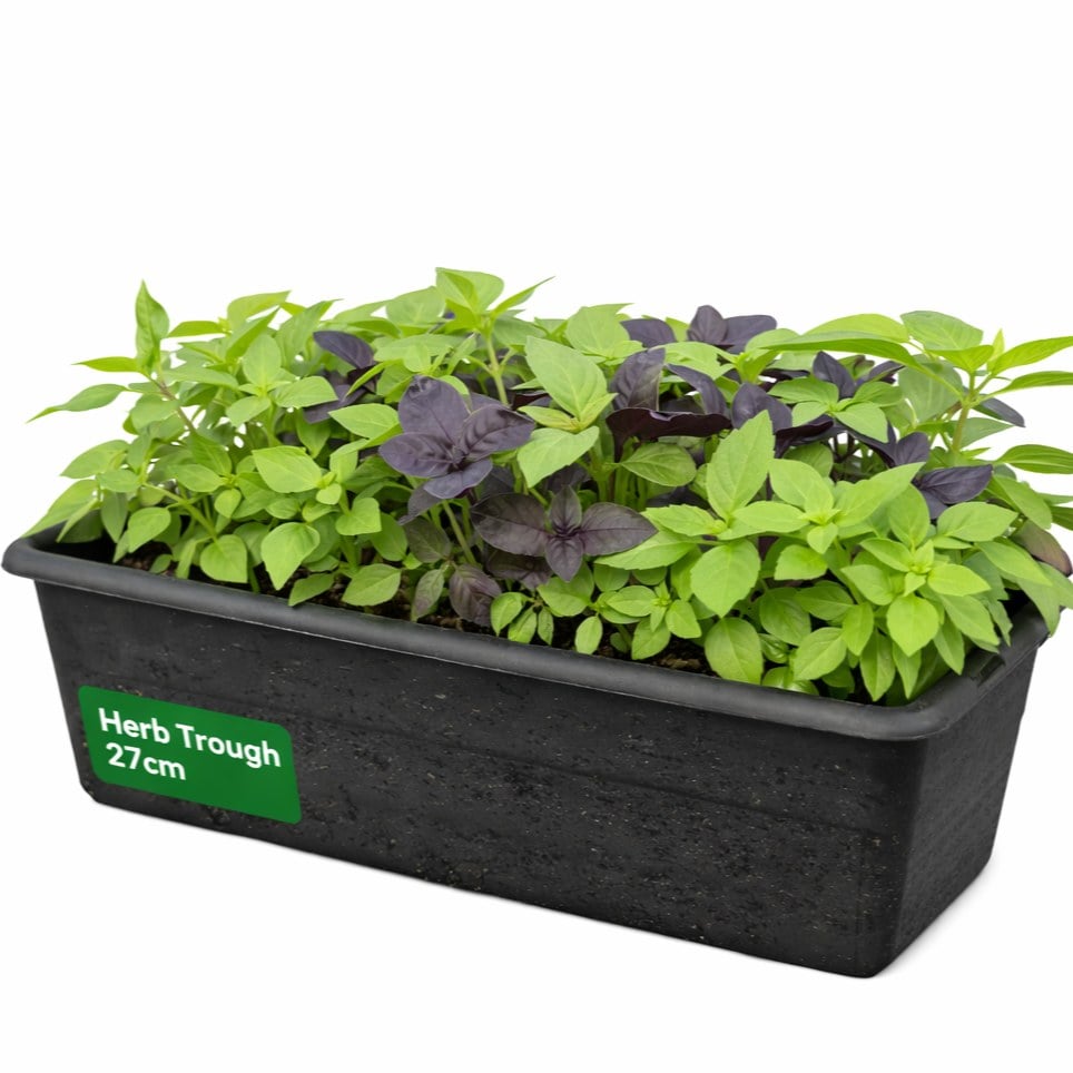 Herb Trough 27cm
