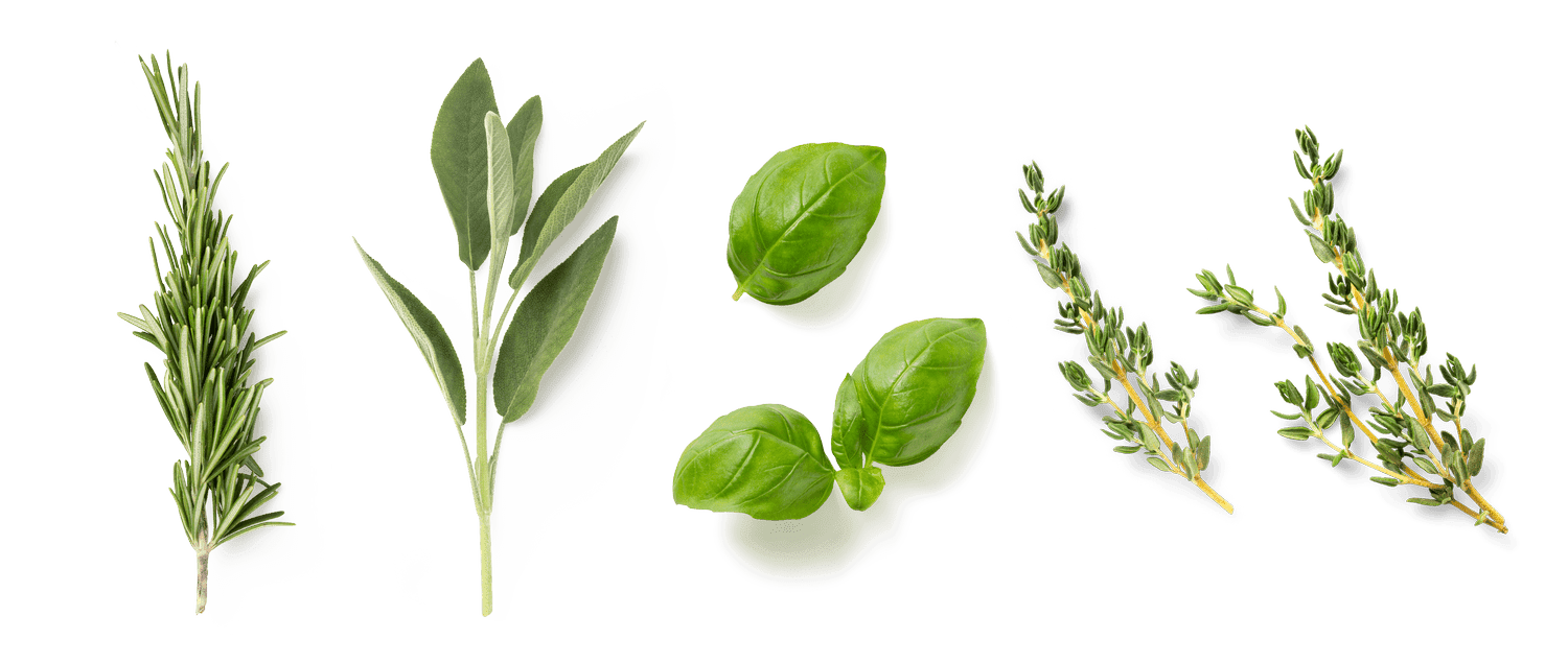 Fresh cut herbs